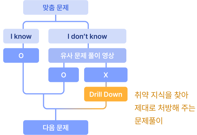 드릴다운 알고리즘: 취약 지식을 찾아 제대로 처방해주는 문제풀이